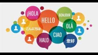 Crash Course on Canadian Language, Diversity, & Multiculturalism by ChatGPT @anhubmetaverse2457