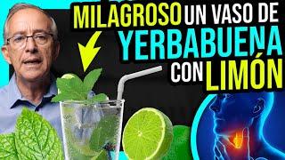  YERBABUENA Con LIMON  Que Maravilla - Oswaldo Restrepo RSC