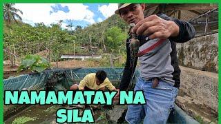 GRABE ANG EPEKTO NG INIT! NAUUBOS NA ANG TILAPIA AT CRAYFISH..