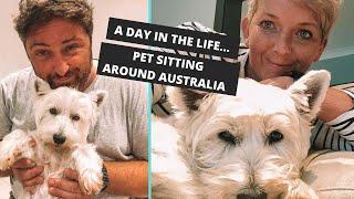 Pet Sitting In Australia (Agnes Water, Queensland)