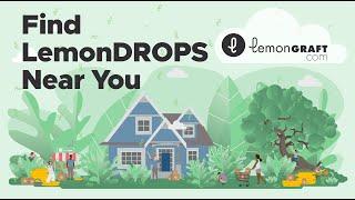 1/5 Find LemonDROPs Near You - The Buyers Guide to LemonGRAFT