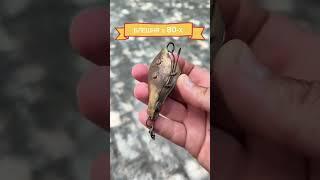 Ідеальна робота для трофейної щуки в траві #fishing #спінінг #shortsfishing #рибалка #приманка
