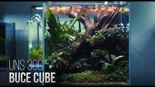 30C Buce Cube Aquascape