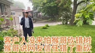 来砍树客户不住这，猴哥说没事砍错了再砍不收费笑人不