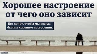 "Хорошее настроение". В. Н. Ситковский. МСЦ ЕХБ