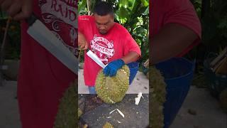 거대한 과일!! 달인의 킹 두리안 자르기 - Giant Fruit!! Amazing Giant Durian Cutting Skills