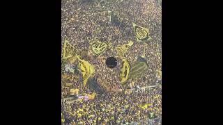 What Dortmund's Yellow Wall REALLY sounds like #football #podcast #shorts