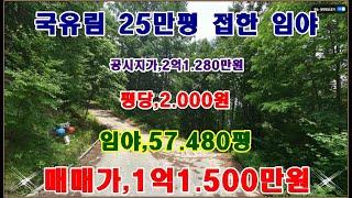 물번,664번) 임야,57.480평 평당,2.000원 국유림25만평 접하고 공시지가.2억1.280만원이나 갑니다 매매가,1억1.500만원에 매매합니다, 계획관리지역,농림.도시지역~