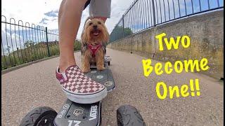 FINALLY! Two Become One! Lexi Yokie Puppy Riding Evolve Electric Skateboard! Filmed with Insta One X