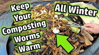 Easy Way To Keep Your Worm Bin Composting Worms Warm, Active & Alive Throughout The Winter