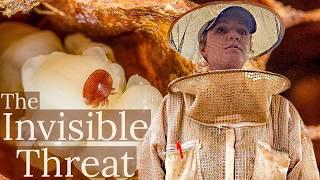 Does Varroa REALLY Transmit Viruses? w/ Dr. Melissa Oddie / Beekeeping 101 #beekeeping