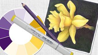 Color Theory for Alcohol Markers: Yellow Daffodil Demo