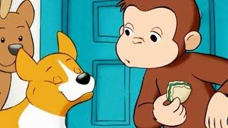 Georges le Petit Singe Le Concours Canin Saison 1 Épisode Complet Dessins Animés