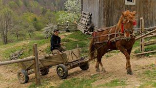 Far From Civilization: 5 Days of Happy but Hard Life for a Family in a Remote Mountain Village