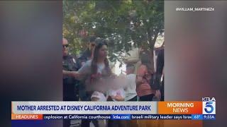 Woman with 2 young children arrested at Disneyland Resort