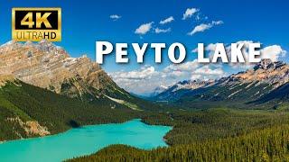 Peyto Lake, Canada  in 4k Ultra Hd Scenic View