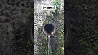 Drainage #imbornal