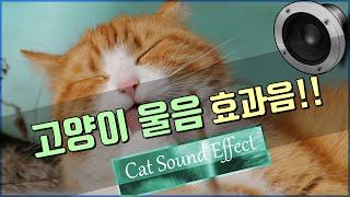 고양이 울음 소리 효과음!!  Cat Sound Effect!! [저작권 없는 무료 효과음] -무료 다운로드-