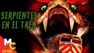 ¡Serpientes A Bordo! Película De Terror Y Suspenso Completa En Español