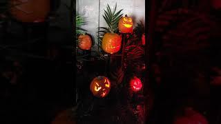 Halloween display at the Rhode Island state house, at the Eastern States Exposition.