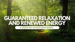 Relieve stress and anxiety, detoxify emotions, heal sleep, Heal Mind, Body and Soul Calming Music