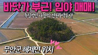 [전남임야매매] 매물번호#342 3,171평 바닷가 부근 임야 매매 ! 무안군 해제면 산길리 임야 시골땅 촌땅 토지 매매