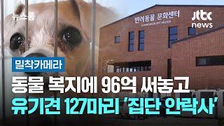 [밀착카메라] 동물 복지 늘리자며 96억 써놓고…유기견 127마리 '집단 안락사' 전말 / JTBC 뉴스룸