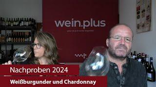 Nachproben 2024 | Weißburgunder und Chardonnay