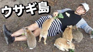 うさぎ島でウサギに埋もれてみた！廃墟にもウサギが!?