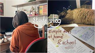 study vlog: simple days at home & school/learning English