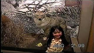 Yellowstone National Park 1999 part 2