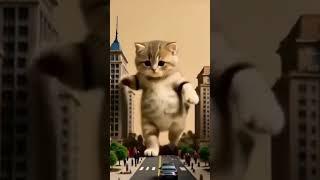 갑자기 나타난 거대 고양이… 도시 초토화ㅋㅋ ️   A Giant Cat Appears in the City! CHAOS Ensues 