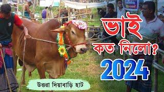 Bhai Koto Nilo 2024 | Uttara Diabari Cattle Market | Qurbani Cow Price 2024 | Gorur Haat Updates