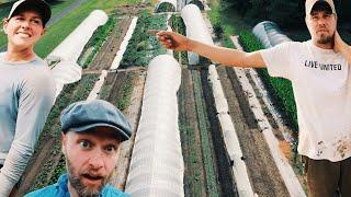 They're Making a Living on this 1.5 Acre Market Garden