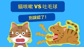 貓咳嗽 vs 吐毛球～別誤認了！如何分辨？