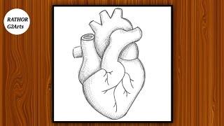 How To Draw Human Heart Step By Step . Human Heart Drawing Easy How to draw HUMAN HEART in easy way