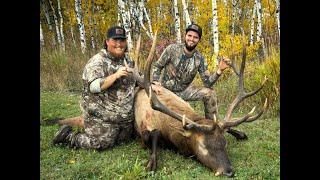 2023 Manitoba Big Bull Elk! Kingsland Outfitting