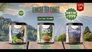 Kangra Tea