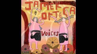 Jamek Ortega - Voices (Extended Mix)