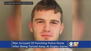 Man Ejected From Eagles Game Is Charged With Punching Horse