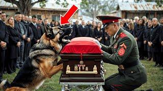 The Dog Kept Barking At The Police's Coffin. They Opened The Coffin, And Something Unexpected