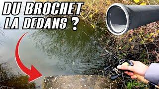 Je PÊCHE dans UNE BUSE EN BÉTON, pêche du brochet en hiver en étang !