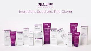 Ingredient Spotlight: Red Clover | Alchimie Forever