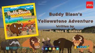 Buddy Bison: All About Bison