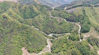 [Drone View]정선 고성고개(구러기재) 봄풍경 드론영상기록 1080FHD [Spring view record of Goseongjae road by Mavic2 Drone]