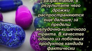 Грибки ! КАНДИДА Изнашивает НАШ ОРГАНИЗМ! ПОМОГИТЕ Себе пока НЕ ПОЗДНО! Нужно СРОЧНО…!