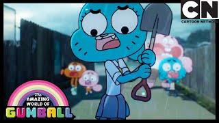 The Nest | Gumball | Cartoon Network