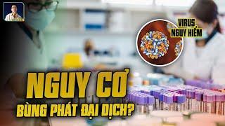 BÁO ĐỘNG AN NINH SINH HỌC: HÀNG TRĂM MẪU VIRUS NGUY HIỂM "BIẾN MẤT BÍ ẨN" TẠI AUSTRALIA