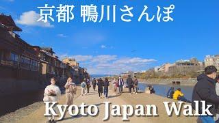 Kyoto Japan relax walk! /Sunny Sunday Along the Kamo River/March 5 2023