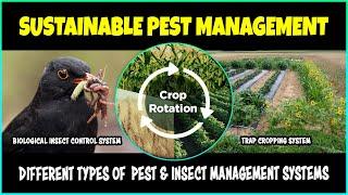 Sustainable Insect and Pest Management Practices | Integrated Pest Management System